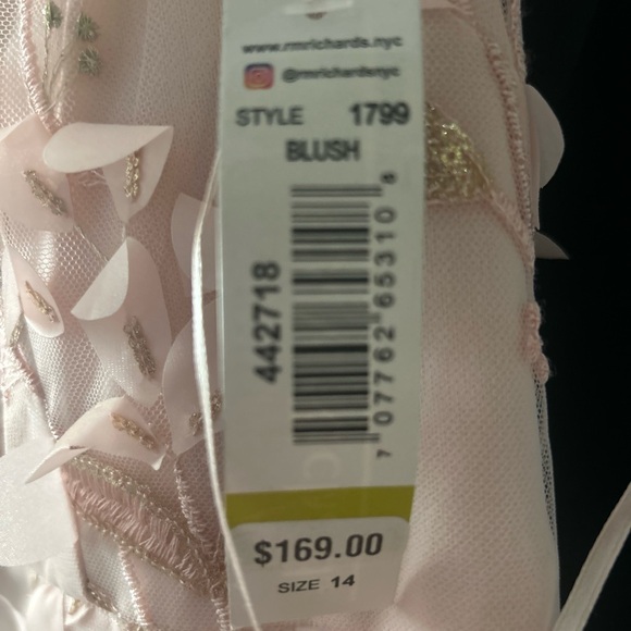 R&M Richard’s 1799 blush evening dress - Picture 4 of 4